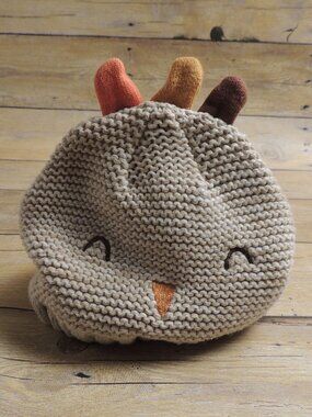 Carters Knit Turkey Thanksgiving Hat Beanie Face Feathers Holiday 12-24M